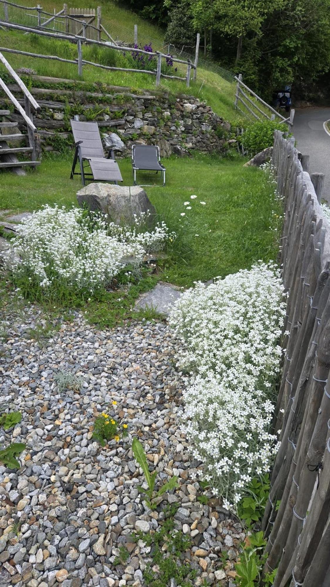 Villa Casa Poiana Ronco sopra Ascona Esterno foto